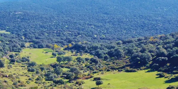 Finca rústica de 1600 ha en venta en Madrid