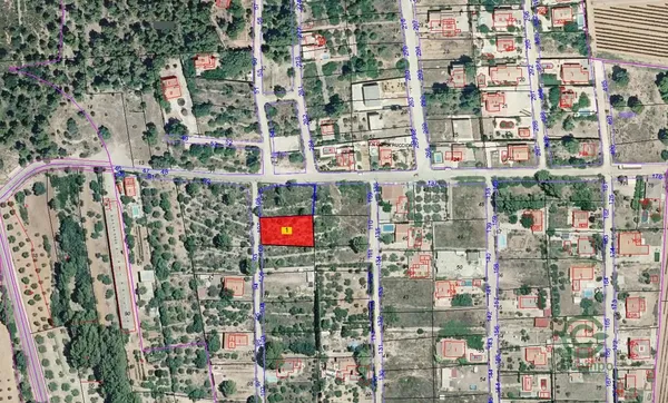 Spot image