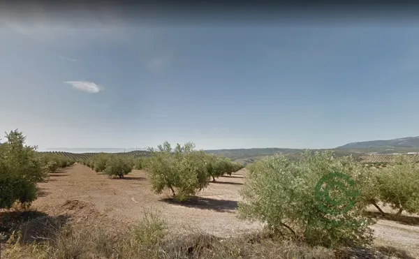 Finca rústica de 27 ha en venta en Granada