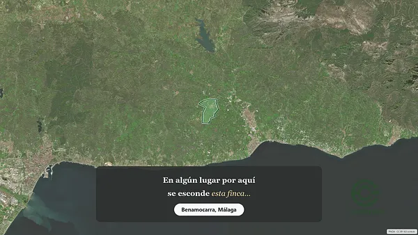 Spot image