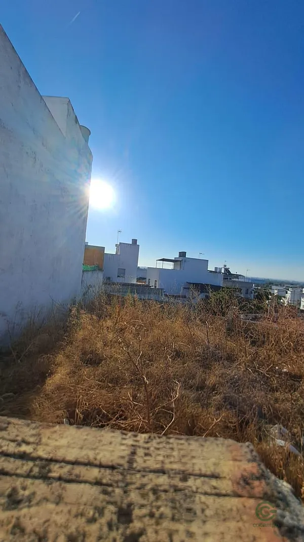 Spot image