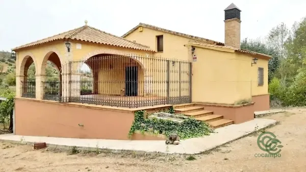 Spot image