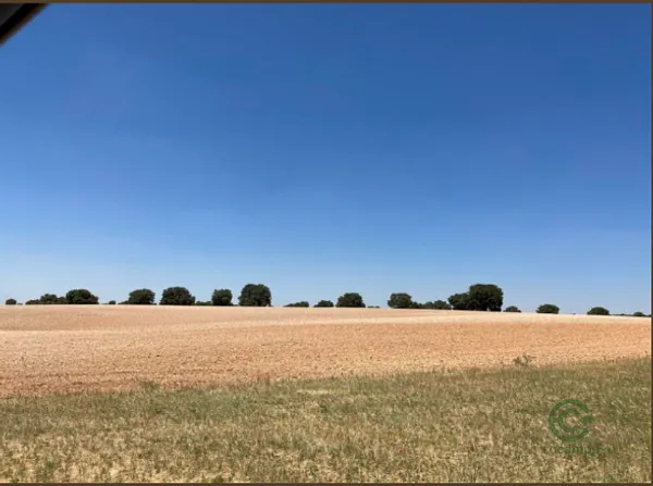 Finca agrícola de 500 ha en venta en Toledo