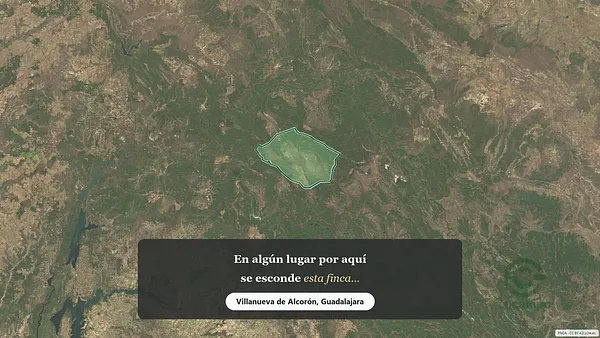 Spot image
