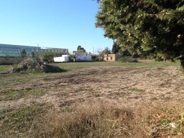 Spot image