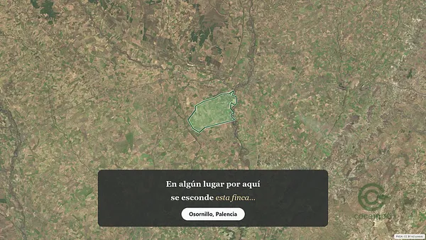 Spot image