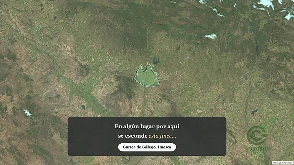 Spot image