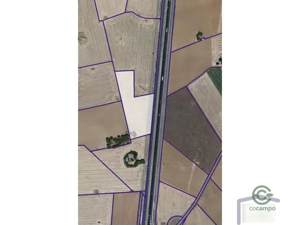 Finca agrícola de 2 ha en venta en Membrilla, Ciudad real