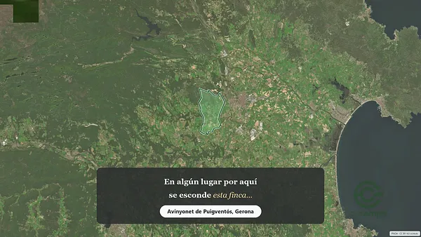 Spot image