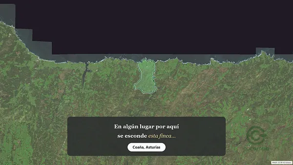 Spot image