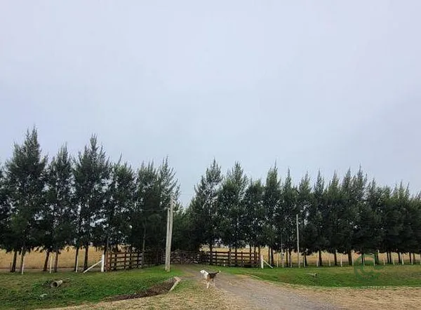 Finca rústica de 14 ha en venta en Buenos aires