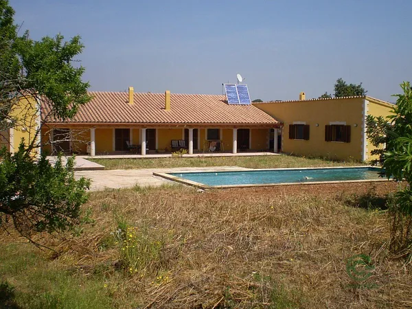Spot image