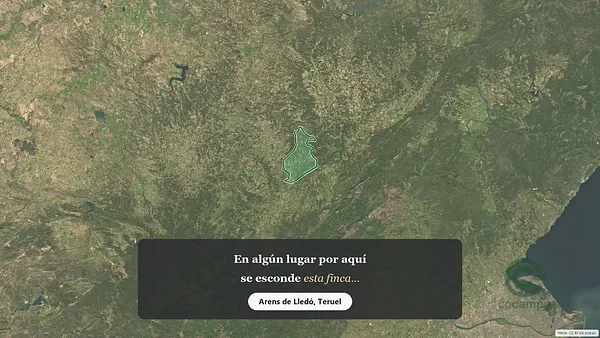 Spot image