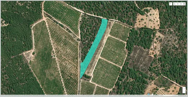 Finca rústica de 0,96 ha en venta en Alcora, l', Castellón