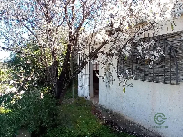 Rustic property of 1980 ha for sale in Almeria