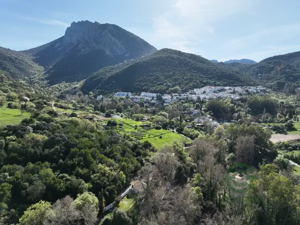 Spot image