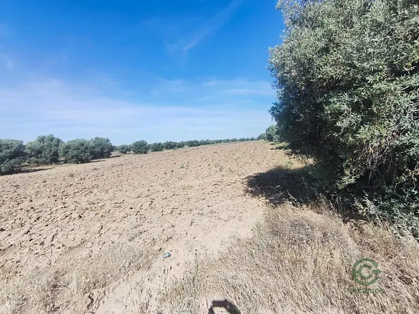 Terreno urbano de 0,8456 ha en venta en Illescas, Toledo