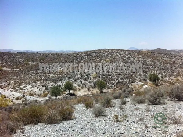 Spot image