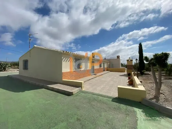 Spot image