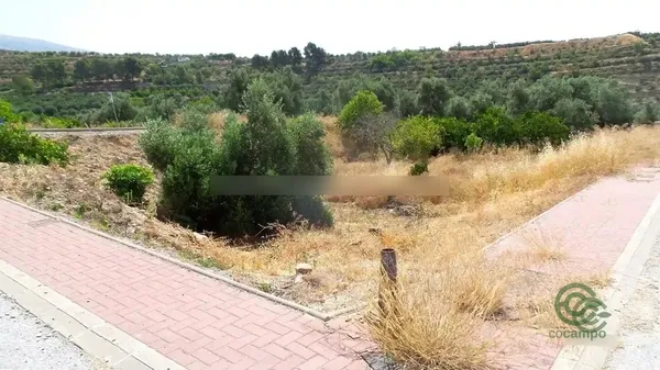 Spot image