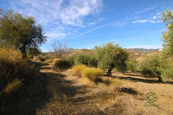 Spot image