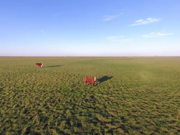 Finca rústica de 1175 ha en venta en Corrientes