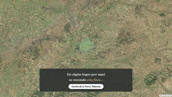 Spot image