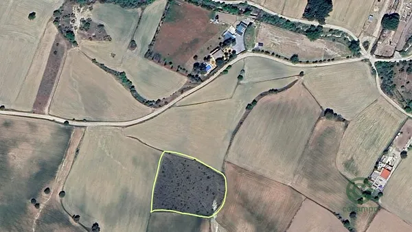 Spot image