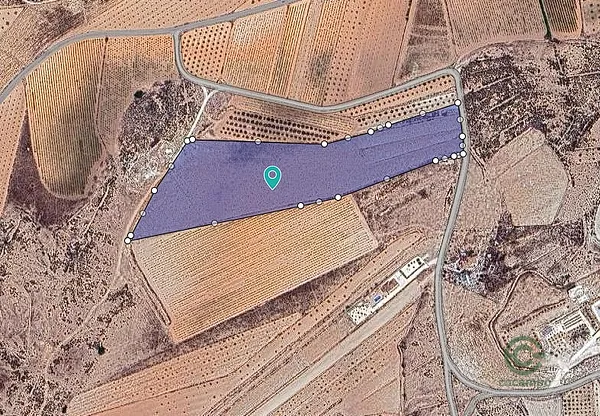 Spot image