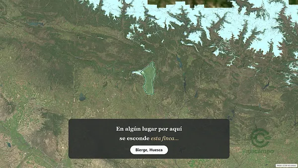 Spot image