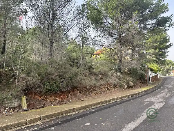 Spot image