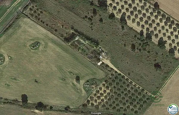 Spot image
