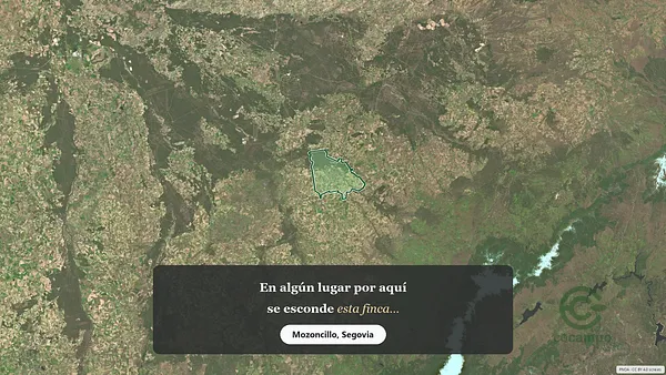 Spot image