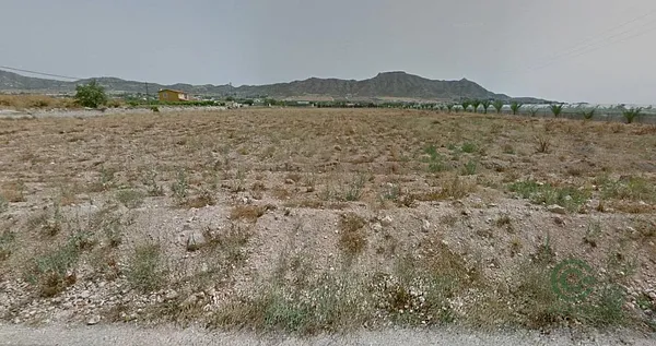 Spot image