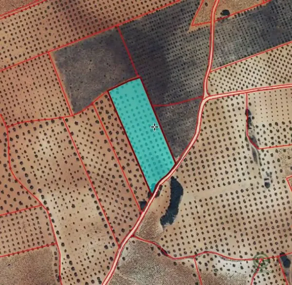 Spot image