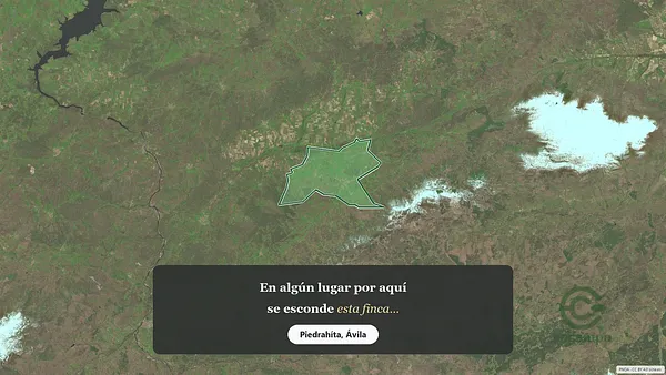 Spot image