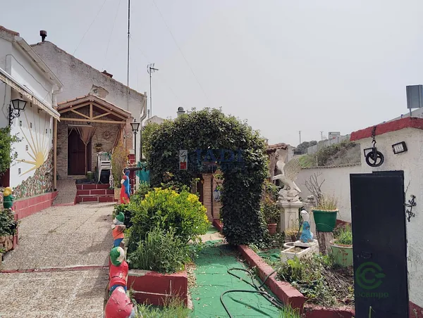 Spot image