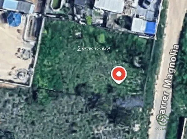 Spot image