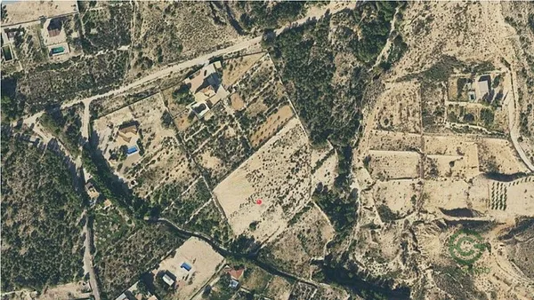 Spot image
