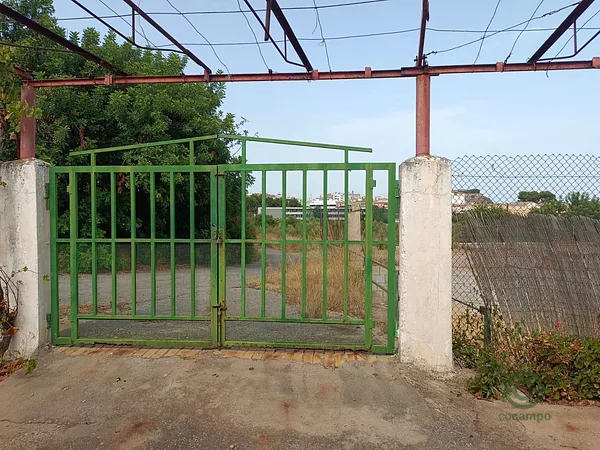 Spot image