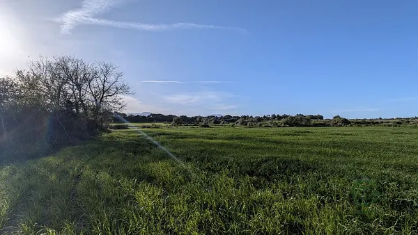 Spot image