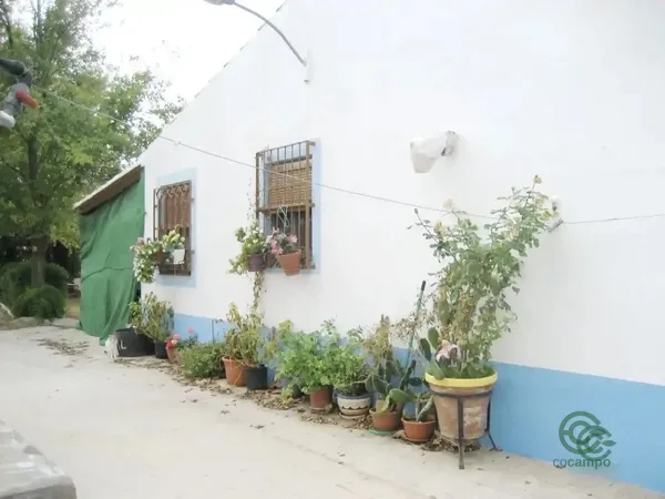 Finca rústica de 2,25 ha en venta en Valdepeñas de la Sierra, Ciudad Real