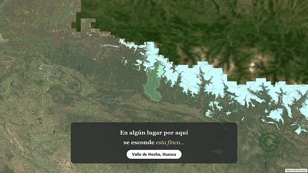 Spot image