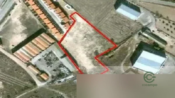 Spot image