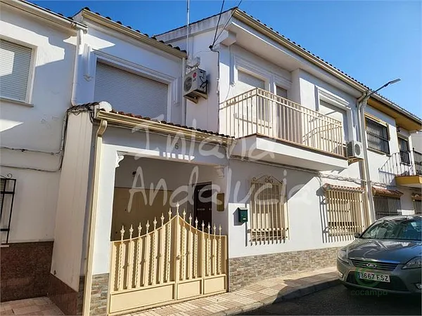 Spot image