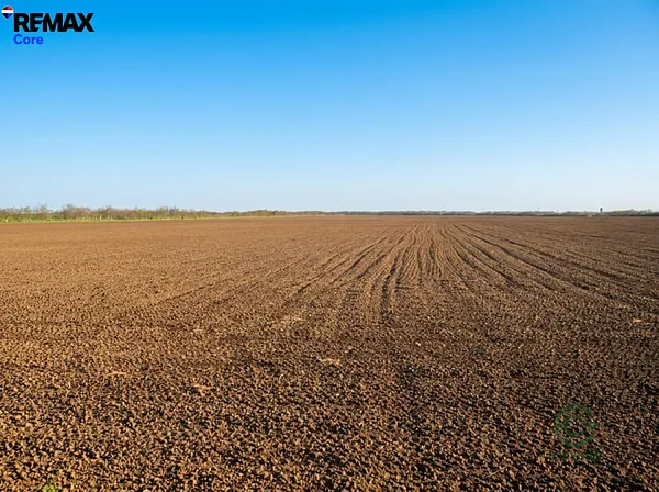 Finca agrícola de 22 ha en venta en Badajoz, Badajoz