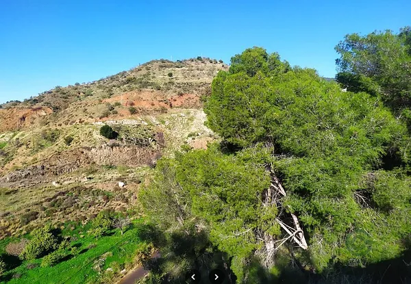 Spot image