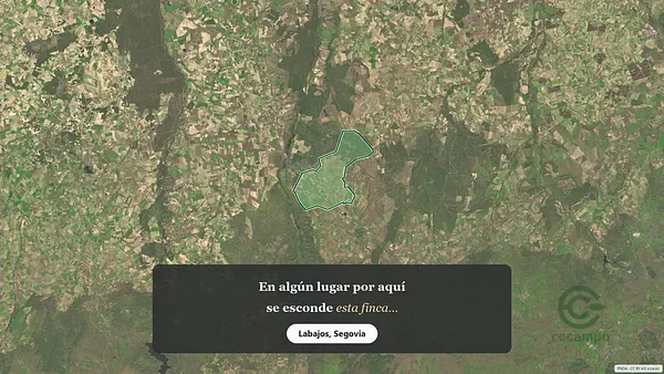 Spot image
