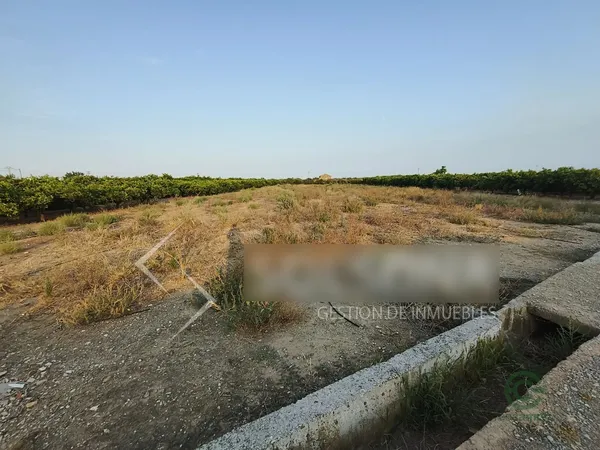 Spot image