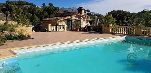 Spot image